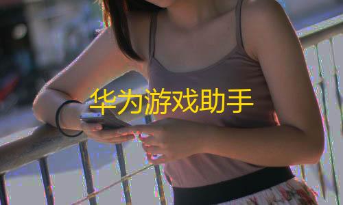 王者荣耀透视脚本华为游戏助手